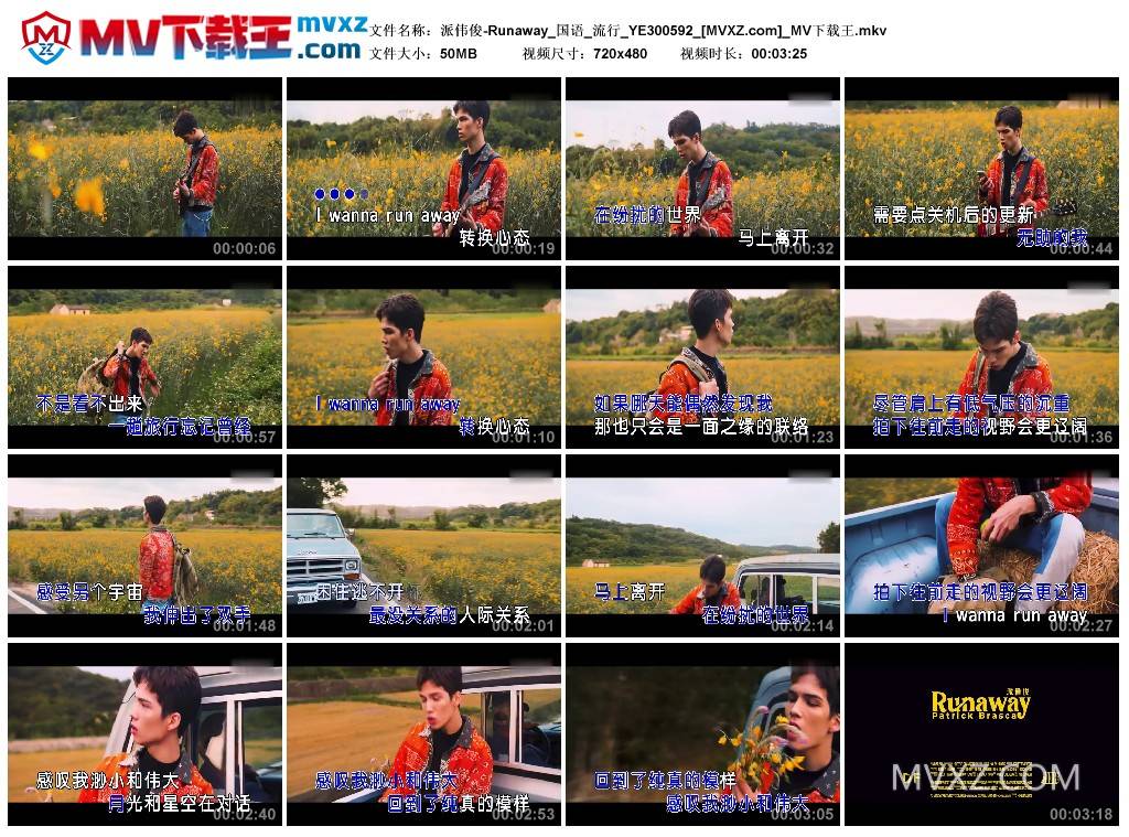 派伟俊-Runaway_国语_流行_YE300592